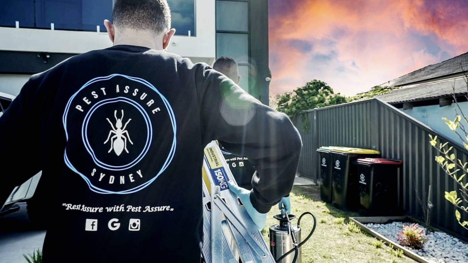 Pest Assure Sydney team at work