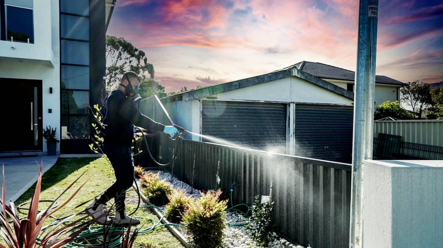 Pest Assure Sydney professional pest control