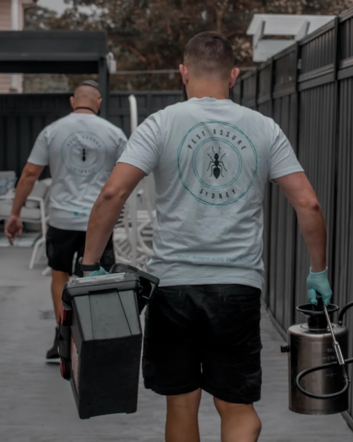 Pest Assure Sydney technician