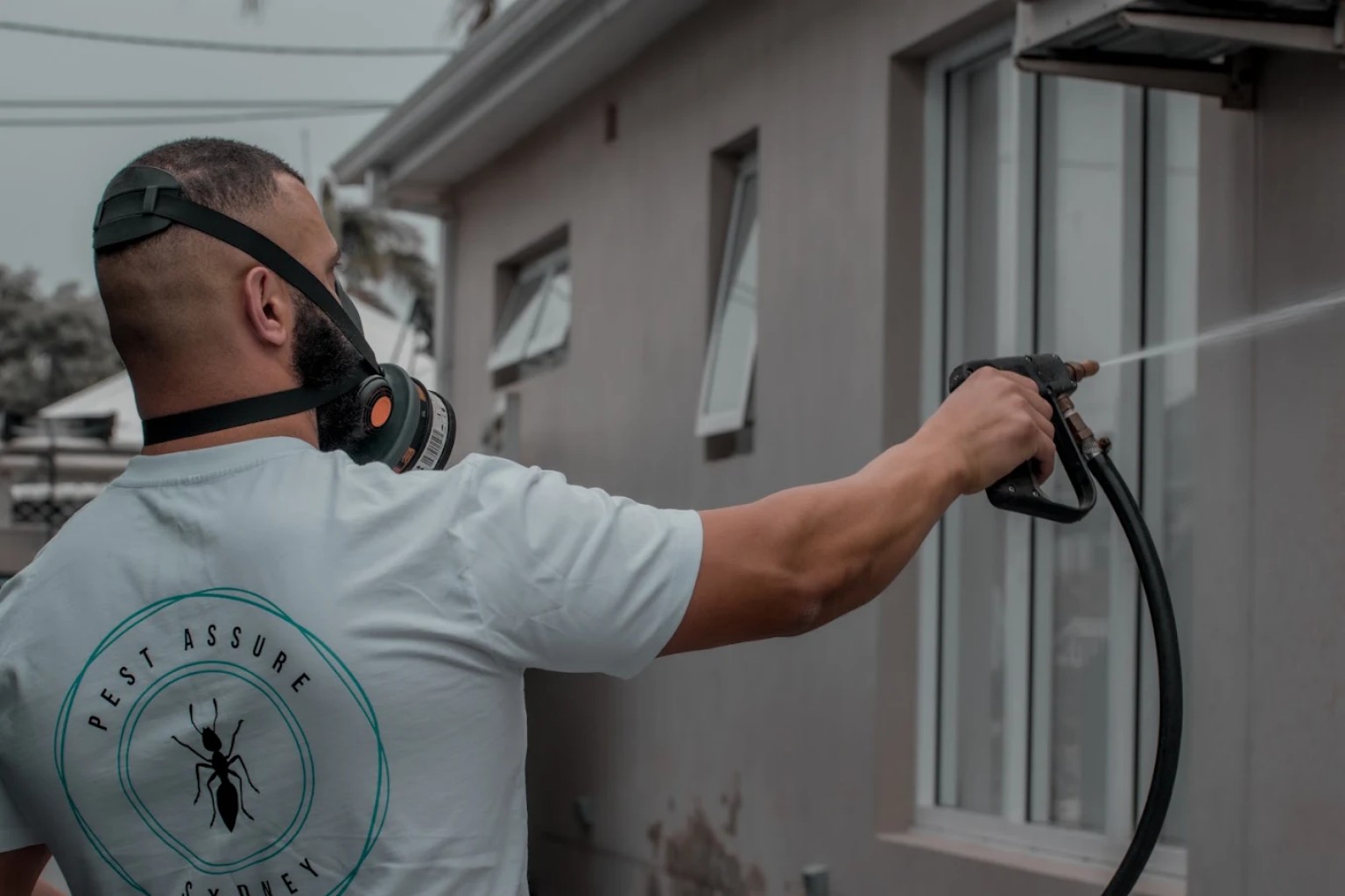 Pest Assure Sydney technician carrying out an exterior pest treatment